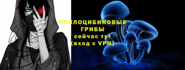 дмт Арсеньев
