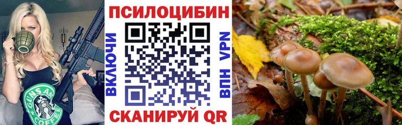 Галлюциногенные грибы Magic Shrooms  Гурьевск 