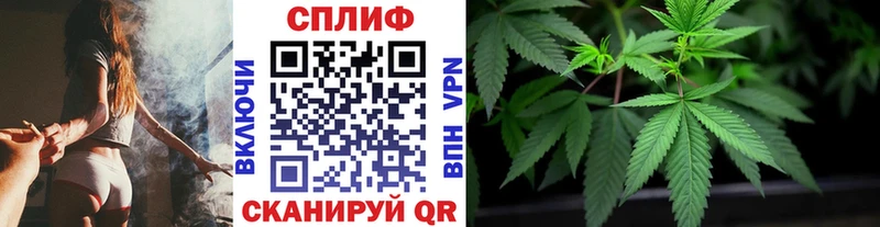 kraken ССЫЛКА  Гурьевск  Бошки Шишки индика 